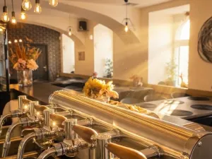 Prodej restaurace, Příbram - Příbram VI-Březové Hory, náměstí J. A. Alise, 450 m2