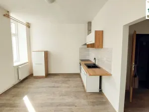 Pronájem bytu 1+1, Cheb, Evropská, 75 m2