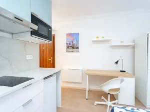 Prodej bytu 1+kk, Praha - Krč, Čerčanská, 18 m2