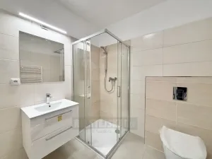 Pronájem bytu 2+kk, České Budějovice - České Budějovice 3, Riegrova, 52 m2