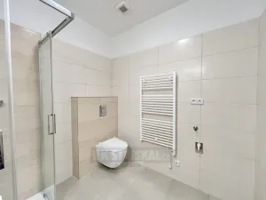 Pronájem bytu 2+kk, České Budějovice - České Budějovice 3, Riegrova, 52 m2