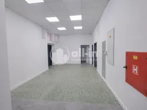 Prodej činžovního domu, Vyškov - Brňany, Palánek, 780 m2