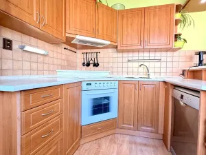 Prodej bytu 4+1, Bor, Borská, 81 m2