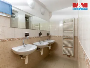 Prodej obchodního prostoru, Prostějov, Šafaříkova, 305 m2