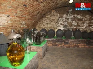 Prodej ubytování, Březí, Na štěrkách, 208 m2