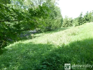 Prodej zahrady, Vejprty, Ovocná, 876 m2