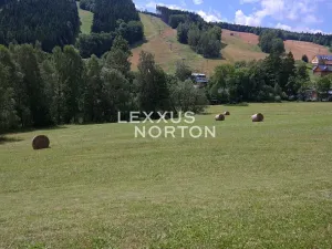 Prodej pozemku pro bydlení, Malá Morávka, 1887 m2