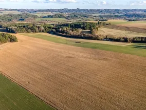 Prodej zemědělské usedlosti, Šebířov, 120 m2