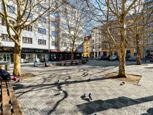 Prodej bytu 3+kk, Praha - Nové Město, Petrská, 85 m2