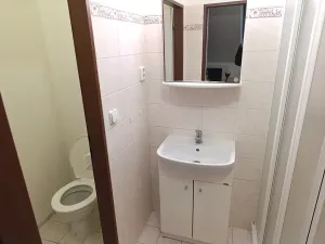 Pronájem bytu 1+kk, Ostopovice, Družstevní, 32 m2