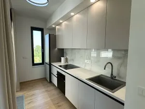 Pronájem bytu 2+kk, Praha - Karlín, Sokolova, 67 m2