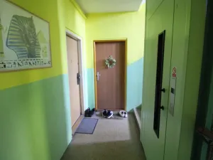 Pronájem bytu 2+1, Karlovy Vary, Krymská, 54 m2