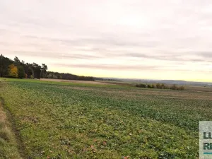 Prodej pole, Mělník, Kokořínská, 27040 m2