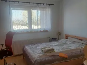 Pronájem bytu 1+kk, Brno - Dolní Heršpice, 29 m2