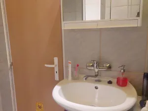 Pronájem bytu 1+kk, Brno - Dolní Heršpice, 29 m2