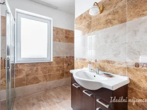 Pronájem rodinného domu, Šestajovice, Sukova, 204 m2