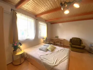 Pronájem bytu 1+1, Slapy, 30 m2