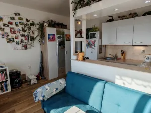 Prodej bytu 1+1, Liberec, Dobiášova, 34 m2