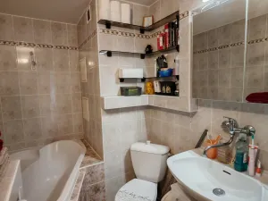 Prodej bytu 1+1, Liberec, Dobiášova, 40 m2