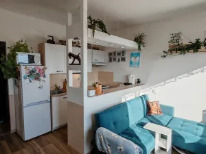 Prodej bytu 1+1, Liberec, Dobiášova, 40 m2