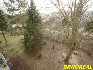 Pronájem bytu 2+1, Brno, Jílová, 55 m2
