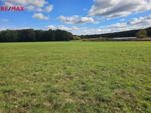 Prodej zemědělského objektu, Nová Ves, 375 m2