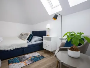 Pronájem bytu 3+kk, Praha - Nové Město, Biskupská, 50 m2