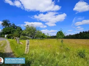 Prodej pozemku, Zásada, 2647 m2