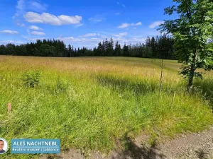 Prodej pozemku, Zásada, 2647 m2