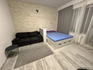 Pronájem bytu 1+kk, Praha - Nové Město, 36 m2