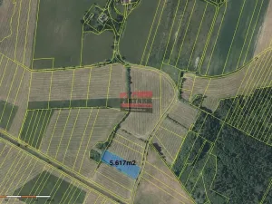 Prodej podílu pole, Borkovice, 15132 m2