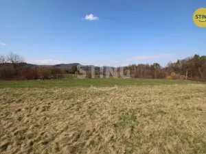 Prodej pozemku pro bydlení, Frenštát pod Radhoštěm, 35000 m2
