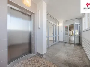 Prodej bytu 1+kk, Brno, Horácké náměstí, 24 m2