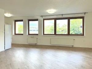 Pronájem bytu 2+kk, Praha - Nusle, Mojmírova, 59 m2