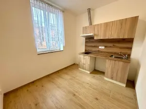 Pronájem bytu 1+1, Praha - Košíře, Holečkova, 35 m2