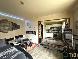 Prodej bytu 1+1, Blansko, Chelčického, 29 m2