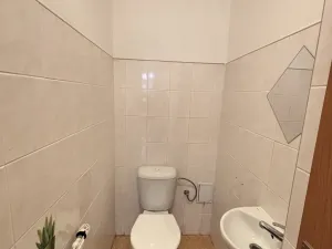 Prodej vícegeneračního domu, Chlumec nad Cidlinou, Pražská, 265 m2