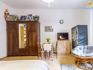 Prodej bytu 1+1, Praha - Nusle, U družstev, 35 m2