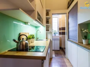 Prodej bytu 1+1, Praha - Nusle, U družstev, 35 m2