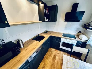 Prodej bytu 2+1, Duchcov, Horská cesta, 52 m2