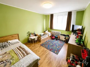 Prodej bytu 2+1, Duchcov, Horská cesta, 52 m2