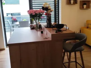 Prodej bytu 2+kk, Ostrava - Michálkovice, Kasalického, 132 m2