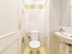 Pronájem bytu 3+kk, Praha - Žižkov, Jeronýmova, 66 m2