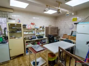 Prodej rodinného domu, Ostrava - Michálkovice, Sládečkova, 426 m2