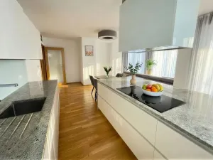 Pronájem bytu 4+kk, Praha - Žižkov, Pitterova, 117 m2