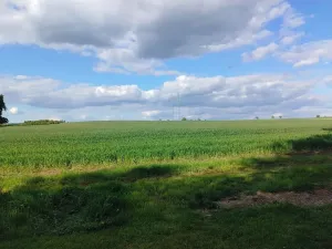 Pronájem chalupy, Mladý Smolivec, 65 m2