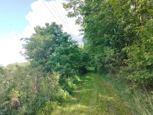 Pronájem chalupy, Mladý Smolivec, 65 m2