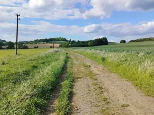 Pronájem chalupy, Mladý Smolivec, 65 m2