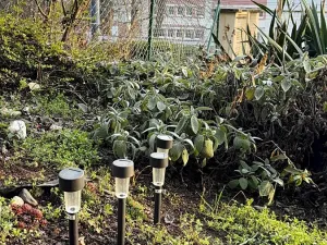 Prodej bytu 2+kk, Praha - Michle, U plynárny, 37 m2