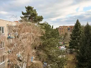 Pronájem bytu 3+1, Brno, Horní, 68 m2